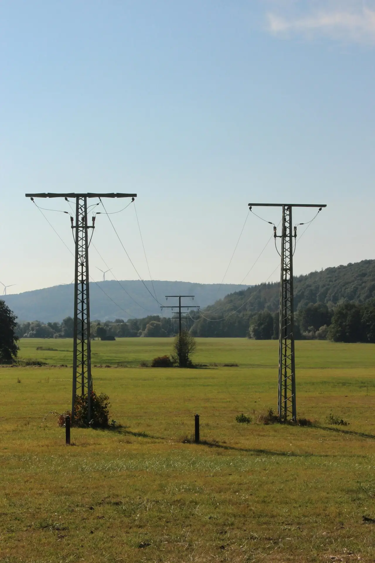 Planung und Gutachten für Leitungstrassen in Rhede